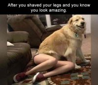 shaved-legs.jpg
