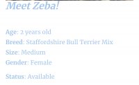 Pet-Zeba2.jpg