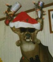 redneck%20reindeer.jpg