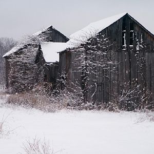 Maryland Snow