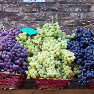 Italian Grapes