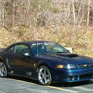 Saleen Mustang from the cruise