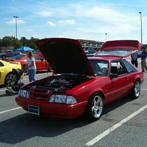 Mustang Fox Body