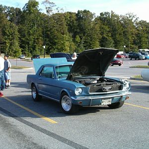 Classic Mustang