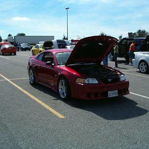 Even Saleen Mustangs were there