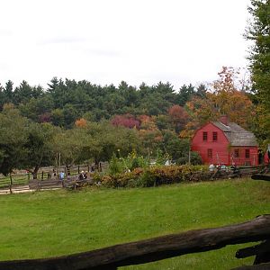 Panorama of the working farm