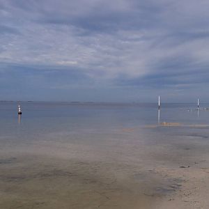 Gulf of Mexico