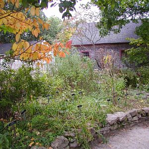 Herb garden