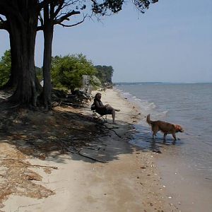 Best Friends at Elms Beach