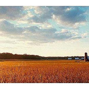 Indian Bridge Road Farm