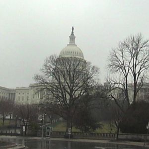 The Capital in the rain