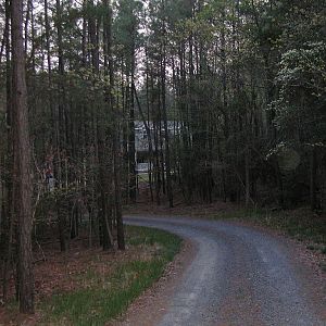 Down the driveway to the house