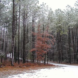 Snowy driveway