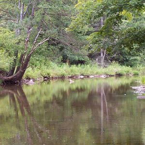 Seneca Creek