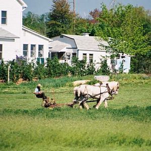 Cutting Grass