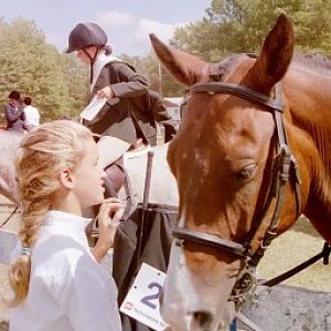 Equestrian, Before the Event