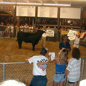 4-H Auction