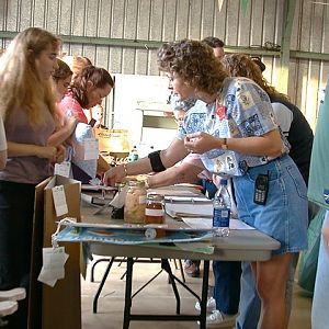 4-H Judging