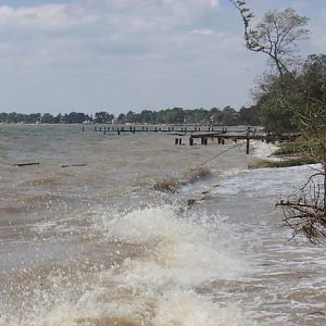 Potomac Punishes Piney Point