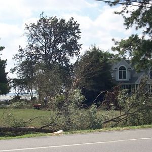 Clearing Debris from Yard