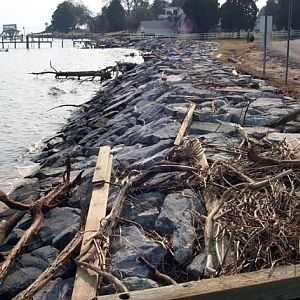 Coltons Point - Debris on Shore