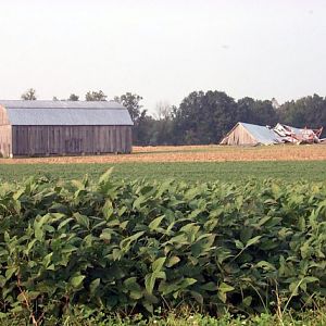 Barn Down off of Route 234