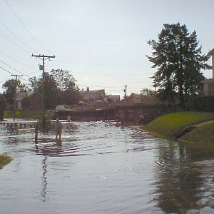 Tiki Bar Flooded