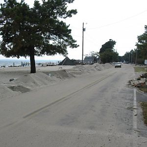 Piney Point - Plowed Road