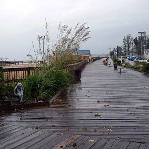 Board-Walk-From-Pier-end