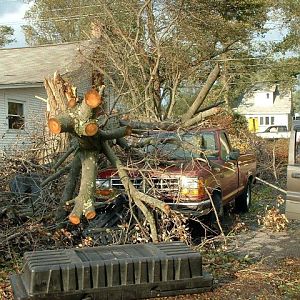 North-Beach-Truck-Tree