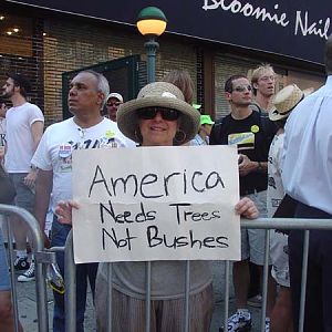 America Needs Trees, Not Bushes