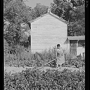 Mrs. Eugene Smith hoeing in her garden, Sept 1940