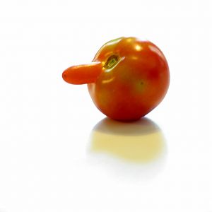 Nosey_Tomato-IMG_4066-R