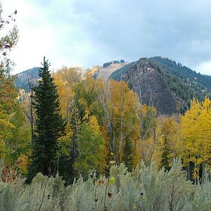 Aspen and Snowmass Photos