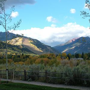 Aspen in October