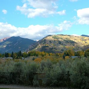 Aspen in October