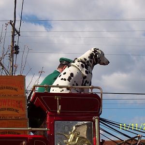 Veteren_s_Day_parade_2005_011