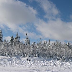 First Snow in Nova Scotia.  Dec 10 2005