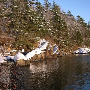 Winter Coastline