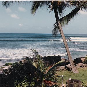 View from my back porch in Hi.