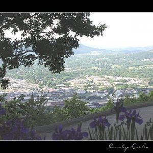 roanoke