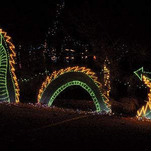 Christmas Lights at Annmarie Gardens