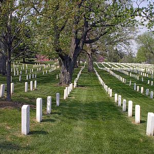 Arlington National Cemetary