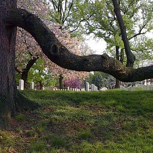 Arlington National Cemetary