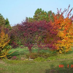 Fall in Park Hall