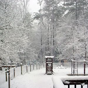 February snow