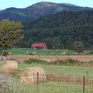 Shenendoah foothills