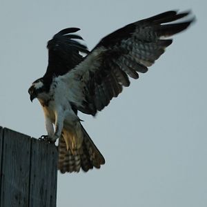 Runway Landing