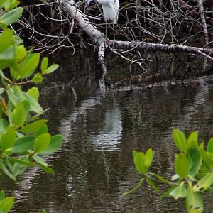 Sanibel Island