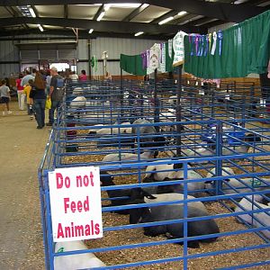 2006 Charles County Fair